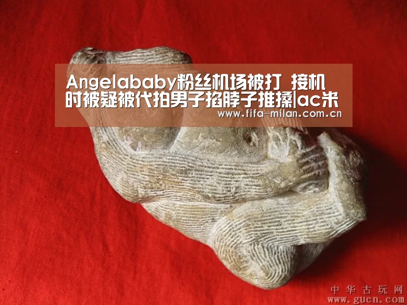 米兰体育在线