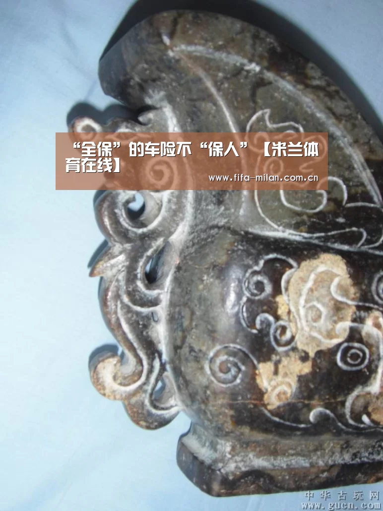 “全保”的车险不“保人”【米兰体育在线】(图4) 米兰体育在线