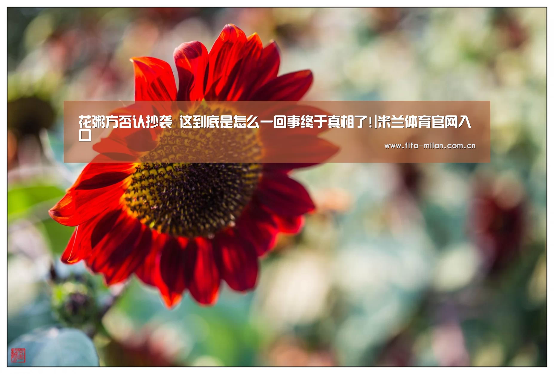 花粥方否认抄袭 这到底是怎么一回事终于真相了!|米兰体育官网入口(图1) 米兰体育官网app