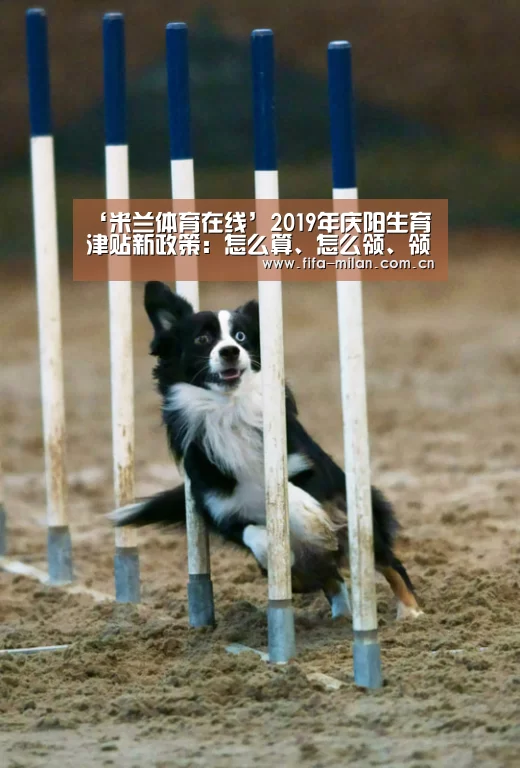 ‘米兰体育在线’2019年庆阳生育津贴新政策:怎么算、怎么领、领取条件(图3) 米兰体育在线