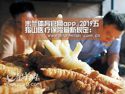 米兰体育官网app