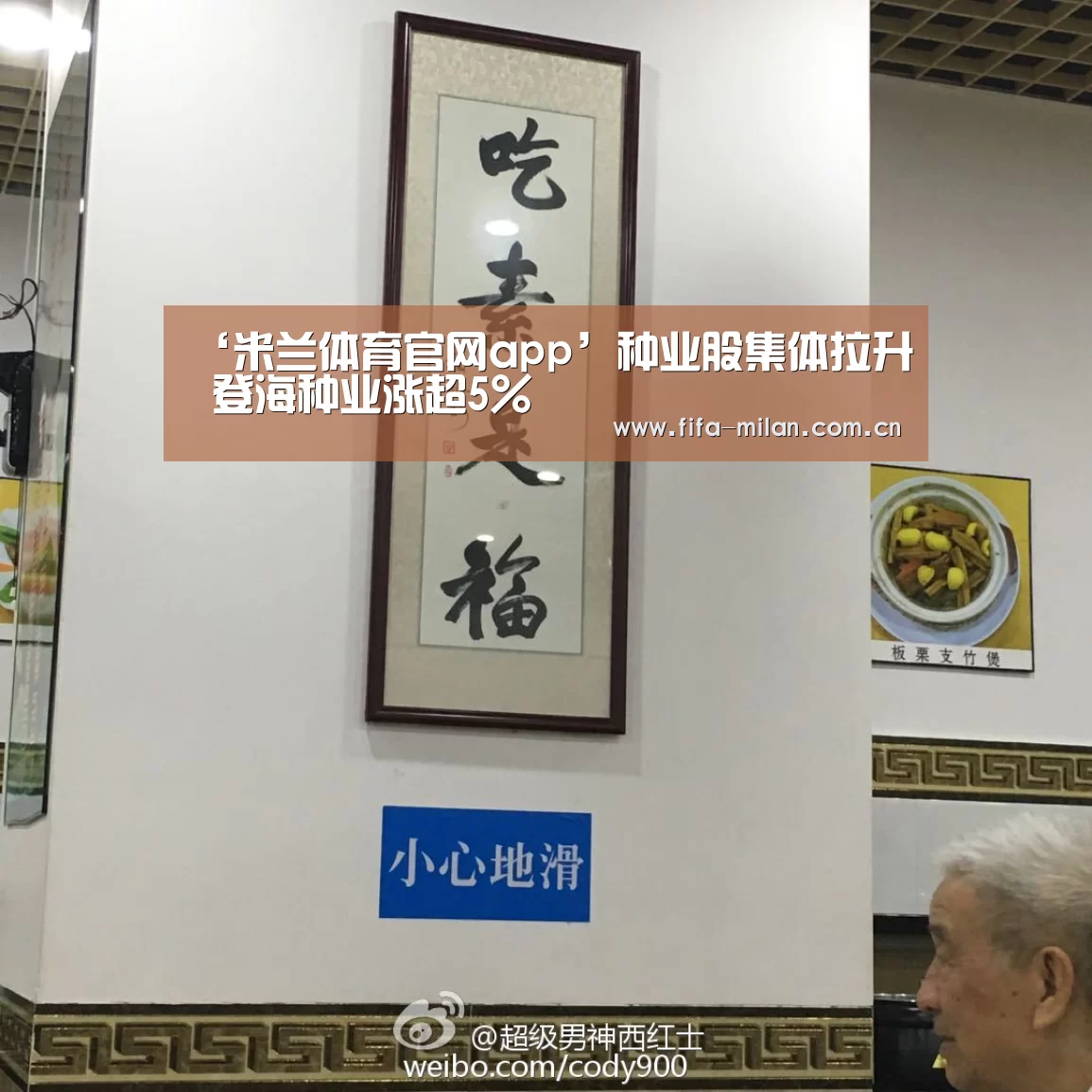 ‘米兰体育官网app’种业股集体拉升 登海种业涨超5%(图3) ac米兰中文官网