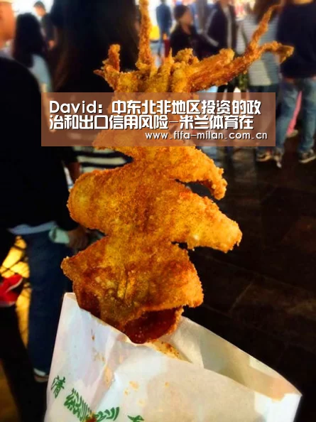 David:中东北非地区投资的政治和出口信用风险-米兰体育在线(图3) ac米兰中文官网