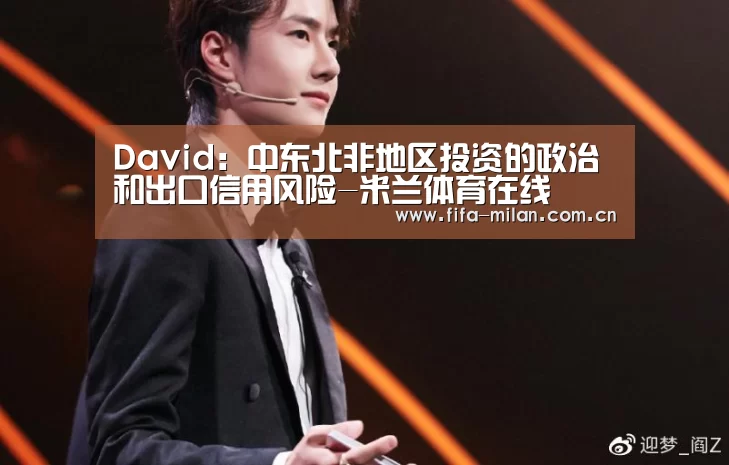 David:中东北非地区投资的政治和出口信用风险-米兰体育在线(图4) ac米兰中文官网